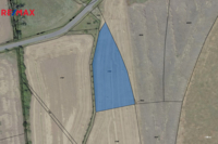 Prodej pozemku pro bydlení, 3953 m2, Čestlice