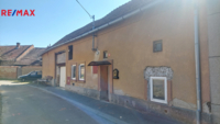 REMAX Delux