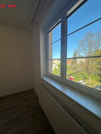REMAX Delux