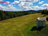 REMAX Delux