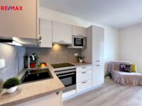 REMAX Delux