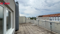 2903848.jpg