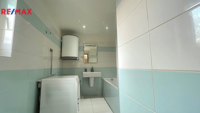 REMAX Delux