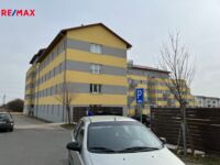 2878507.jpg