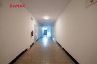 REMAX Brno