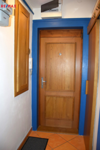REMAX Delux