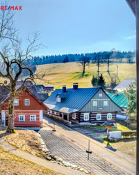 REMAX Delux