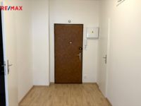 REMAX Delux