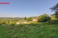 REMAX Delux