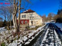REMAX Delux