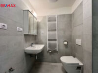 REMAX Delux