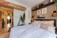 REMAX Delux