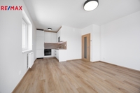REMAX Delux