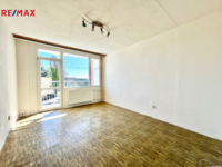 REMAX Delux