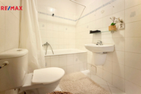 REMAX Delux