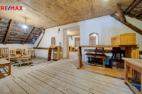REMAX Delux