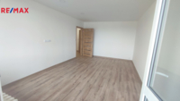 REMAX Delux