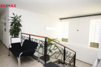 REMAX Delux