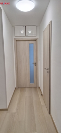 2932606.jpg
