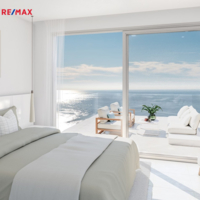 REMAX Delux