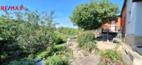 REMAX Delux
