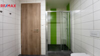 REMAX Delux