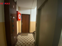 REMAX Delux