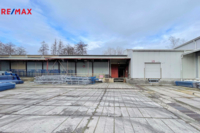 REMAX Delux
