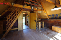 REMAX Delux