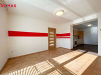 REMAX Delux