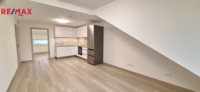 REMAX Delux