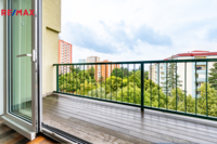 REMAX Delux