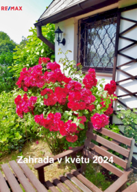 2764447.jpg