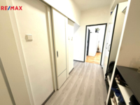 REMAX Delux