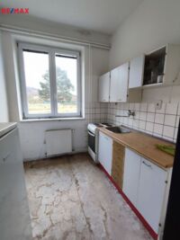 2564936.jpg