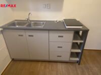 REMAX Delux