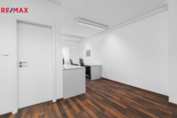 REMAX Delux