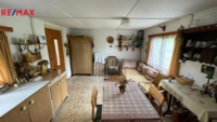REMAX Delux