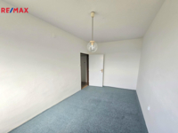 REMAX Delux