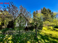 REMAX Brno