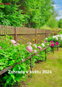 2764448.jpg