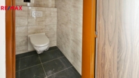 REMAX Delux