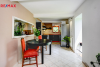 REMAX Delux