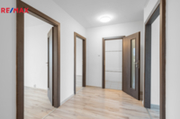 REMAX Delux