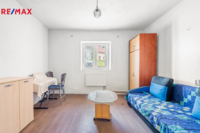 REMAX Delux