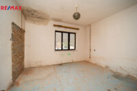 REMAX Delux
