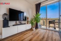 REMAX Delux