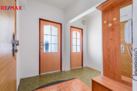 REMAX Delux