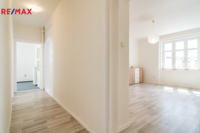 REMAX Delux