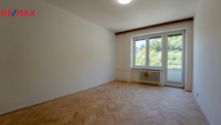 REMAX Delux
